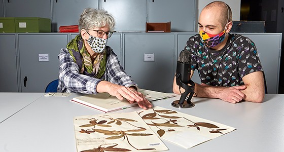 Khalil and Sandy looking at botanical specimens on the Museum's podcast, Wild Crimes.
